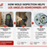 How Mold Inspection Helps Los Angeles Homeowners After Water Damage