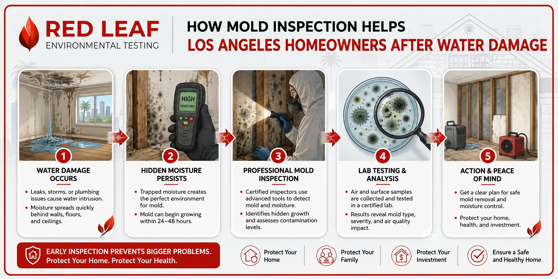 How Mold Inspection Helps Los Angeles Homeowners After Water Damage